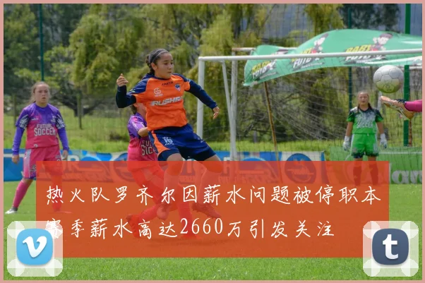 热火队罗齐尔因薪水问题被停职本赛季薪水高达2660万引发关注