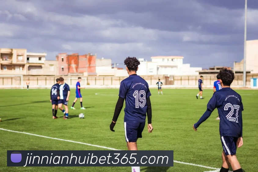 金年会体育平台生态图