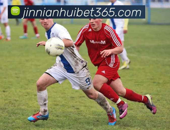 金年会体育全站App